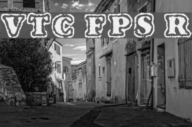 VTC FuzzyPunkySlippers Regular خط examples