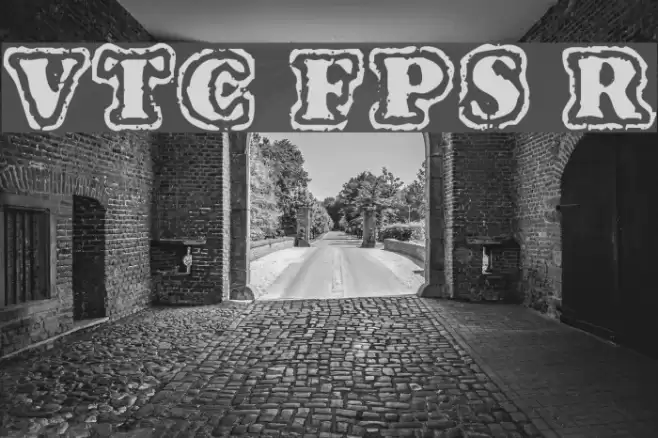 VTC FuzzyPunkySlippers Regular خط examples