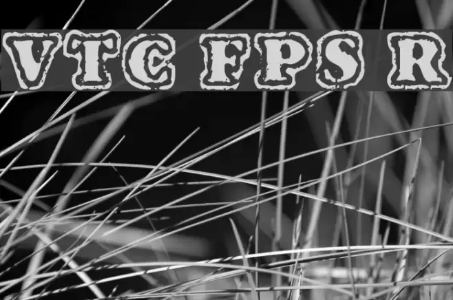 VTC FuzzyPunkySlippers Regular خط examples