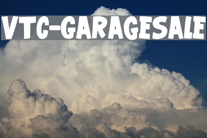 VTC-GarageSale Шрифта examples
