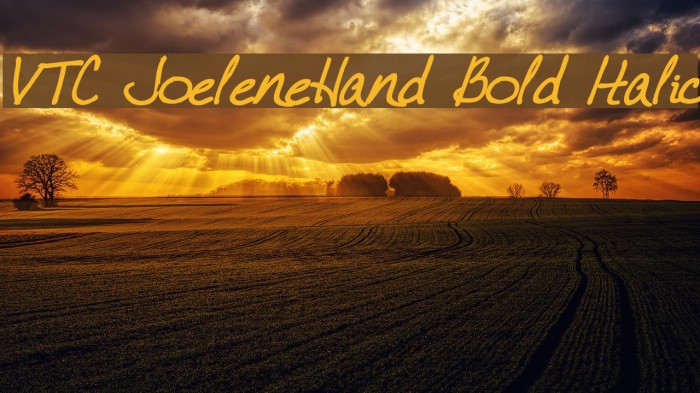 VTC JoeleneHand Bold Italic Font examples