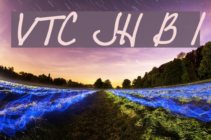 VTC JoeleneHand Bold Italic Font examples