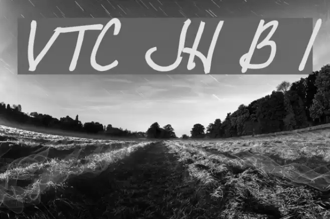 VTC JoeleneHand Bold Italic Font examples