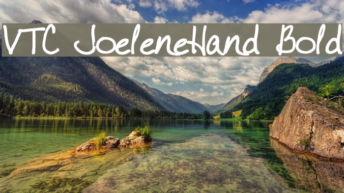 VTC JoeleneHand Bold Font examples