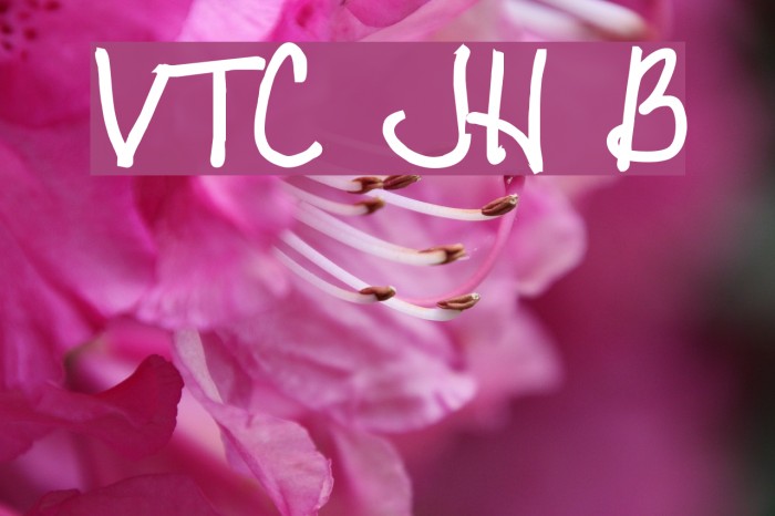 VTC JoeleneHand Bold Fuentes examples