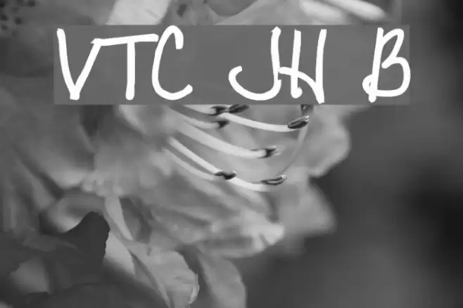 VTC JoeleneHand Bold Polices examples
