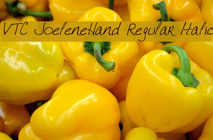 VTC JoeleneHand Regular Italic Font examples