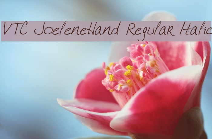 VTC JoeleneHand Regular Italic Font examples