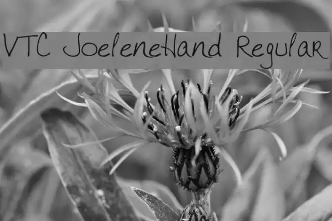 VTC JoeleneHand Regular Font examples