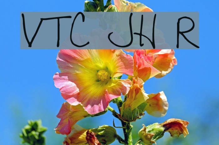 VTC JoeleneHand Regular Font examples