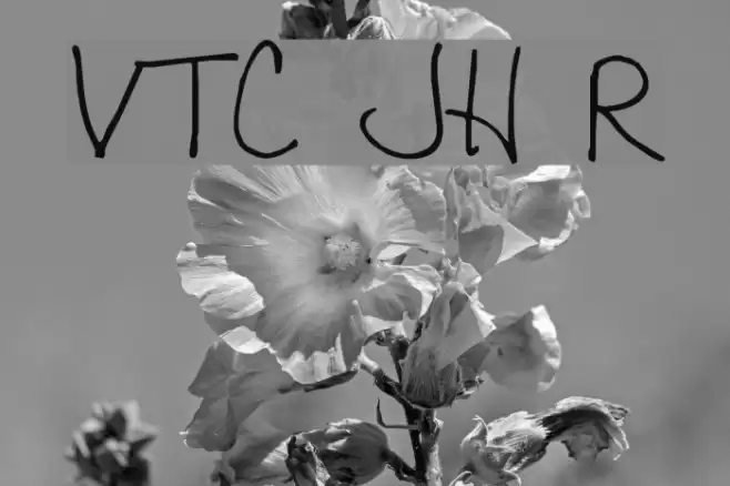 VTC JoeleneHand Regular Font examples