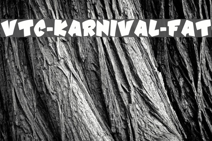 VTC-Karnival-Fat Font examples