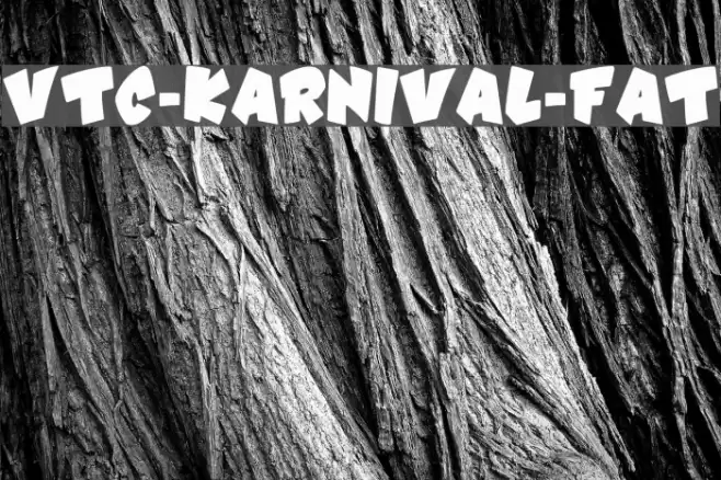 VTC-Karnival-Fat Fuentes examples