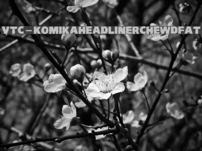 VTC-KomikaHeadLinerChewdFat Font examples