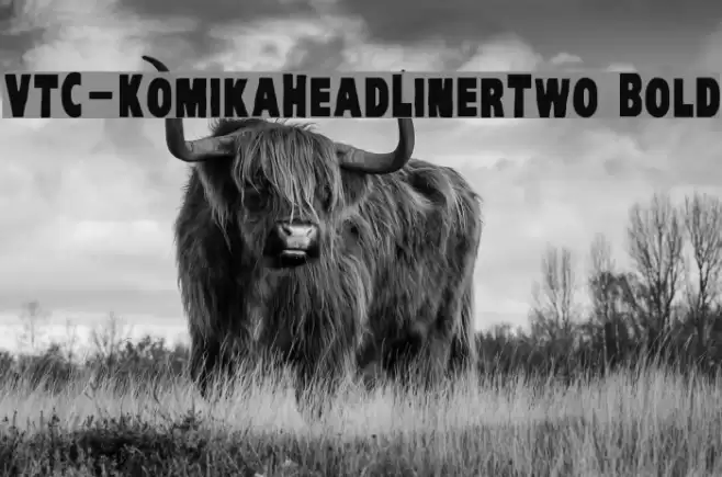 VTC-KomikaHeadLinerTwo Bold Font examples
