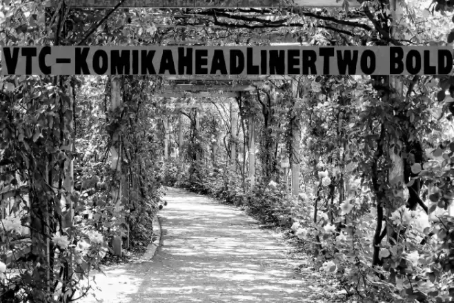 VTC-KomikaHeadLinerTwo Bold Font examples