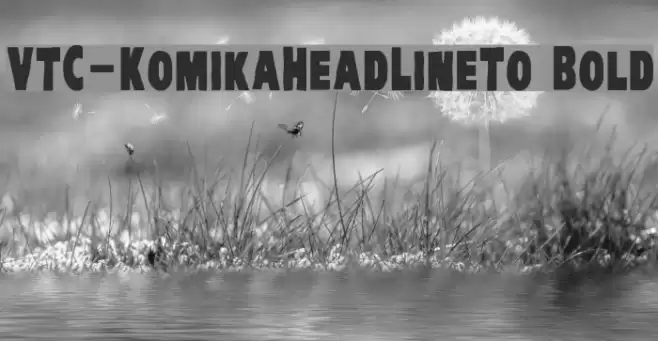 VTC-KomikaHeadLinerTwo Bold Font examples
