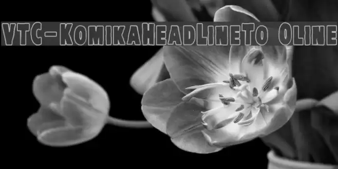 VTC-KomikaHeadLinerTwo Outline Font examples