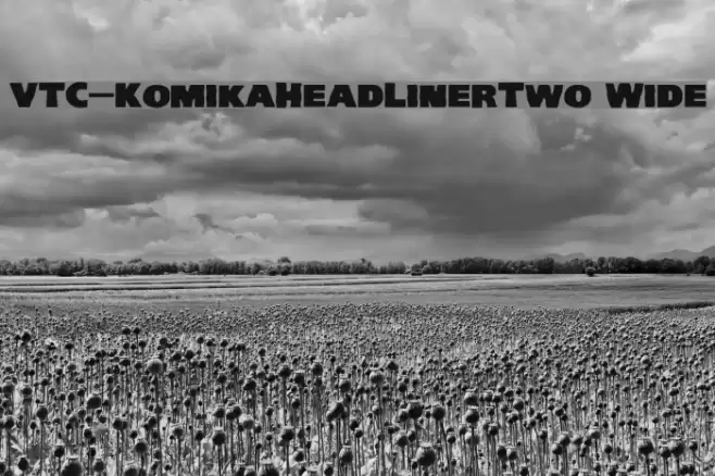 VTC-KomikaHeadLinerTwo Wide Font examples