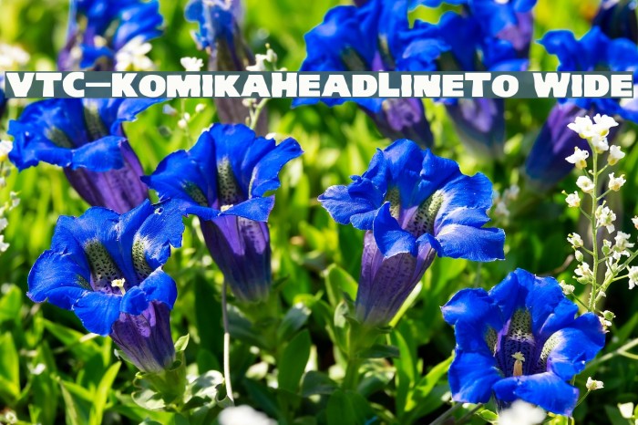 VTC-KomikaHeadLinerTwo Wide Font examples