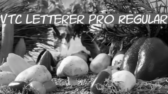 VTC Letterer Pro Regular Font examples