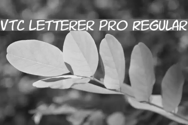VTC Letterer Pro Regular Font examples