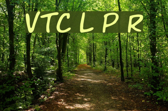 VTC Letterer Pro Regular フォント examples