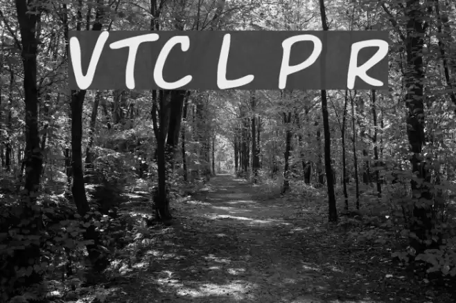VTC Letterer Pro Regular Polices examples