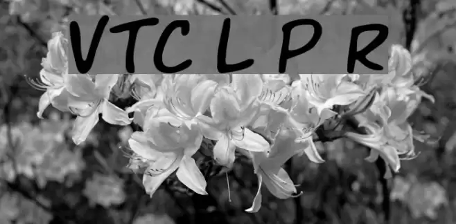 VTC Letterer Pro Regular Polices examples