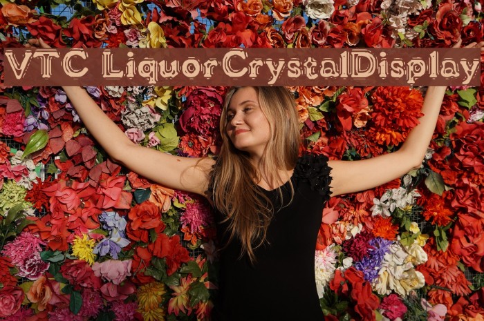 VTC LiquorCrystalDisplay Font examples