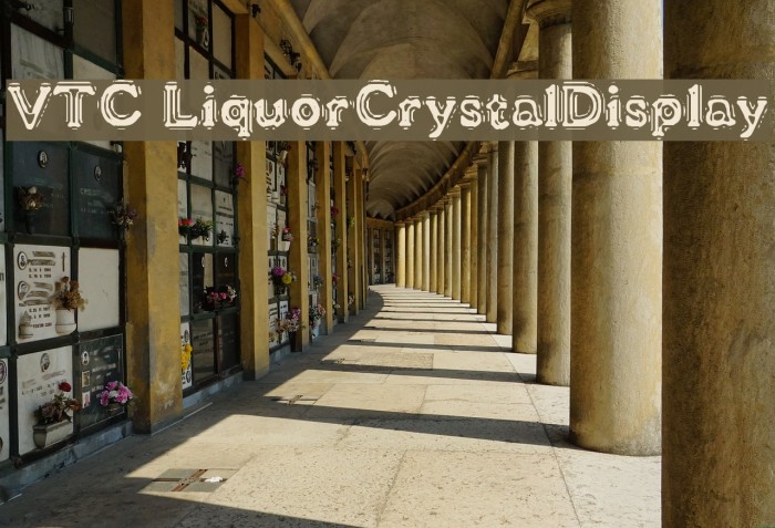 VTC LiquorCrystalDisplay Font examples