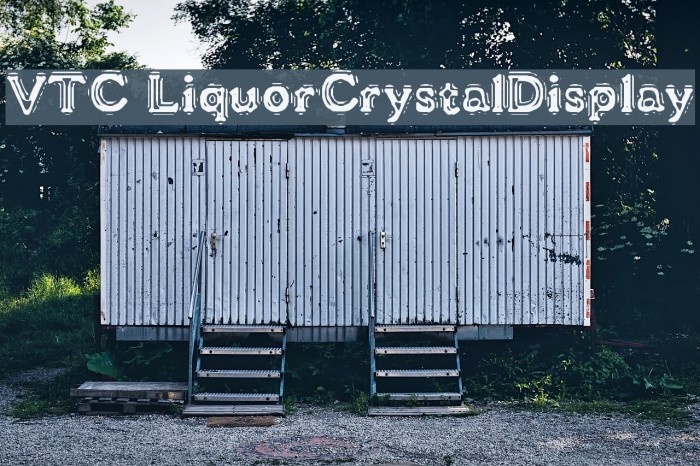 VTC LiquorCrystalDisplay Caratteri examples
