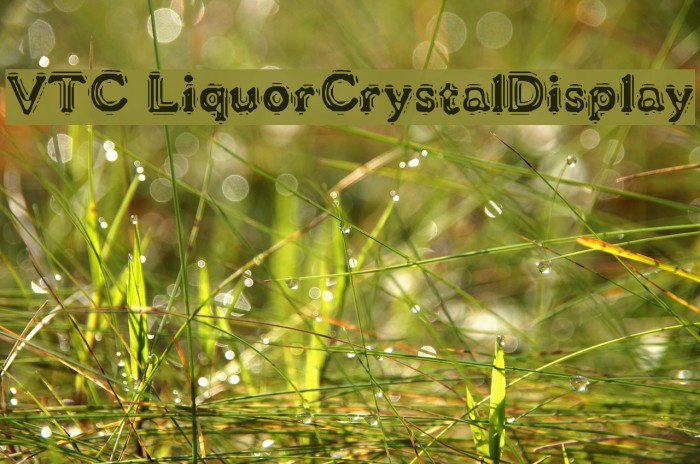 VTC LiquorCrystalDisplay Caratteri examples