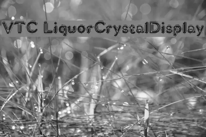VTC LiquorCrystalDisplay Caratteri examples