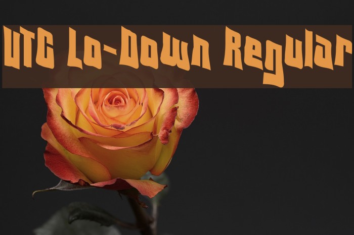 VTC Lo-Down Regular フォント examples