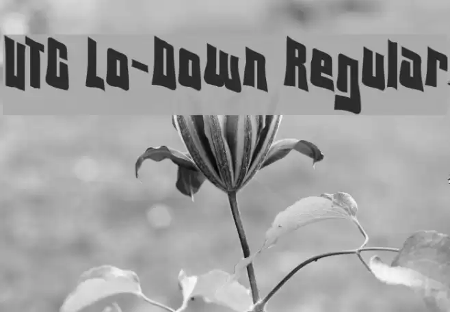 VTC Lo-Down Regular Font examples