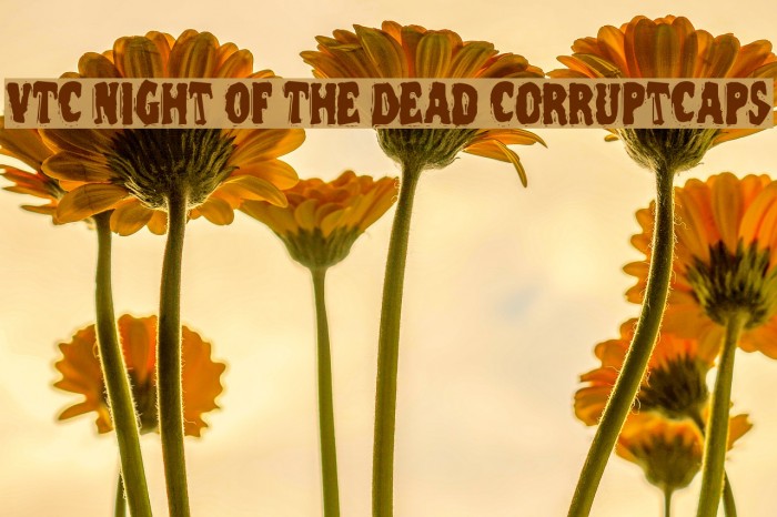 VTC Night Of The Dead CorruptCaps Font examples