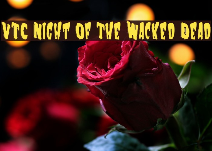 VTC Night Of The Wacked Dead Font examples