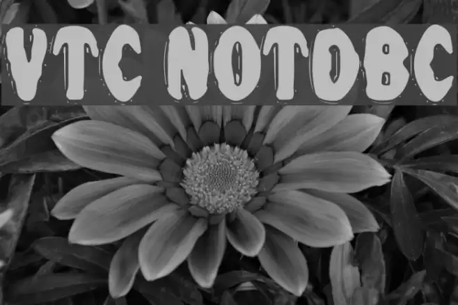 VTC NightOfTheDrippyBentCaps خط examples