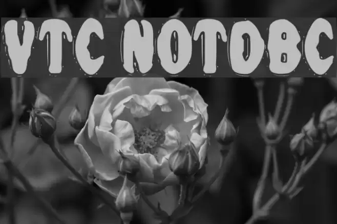 VTC NightOfTheDrippyBentCaps خط examples