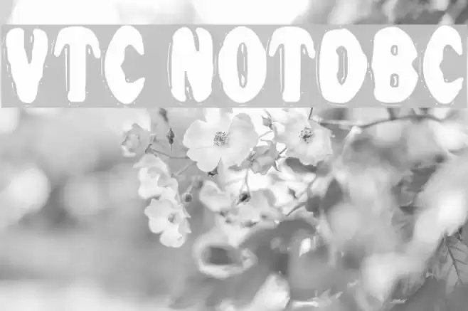 VTC NightOfTheDrippyBentCaps خط examples