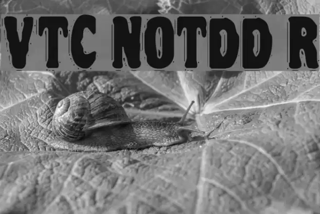 VTC NightOfTheDrippyDead Regular Fuentes examples