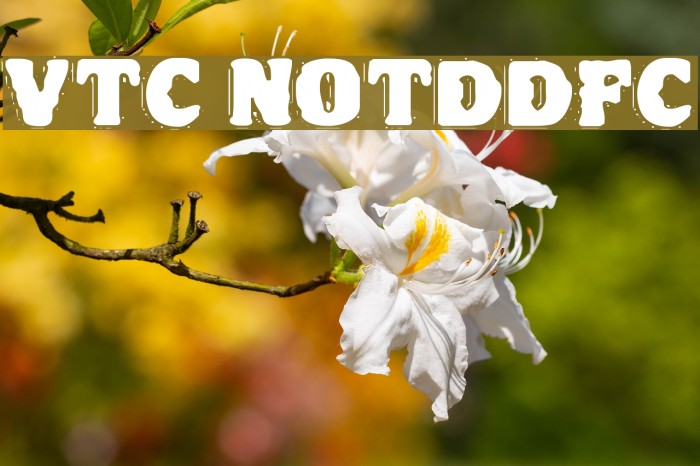 VTC NightOfTheDrippyDeadFatCaps لخطوط تنزيل examples