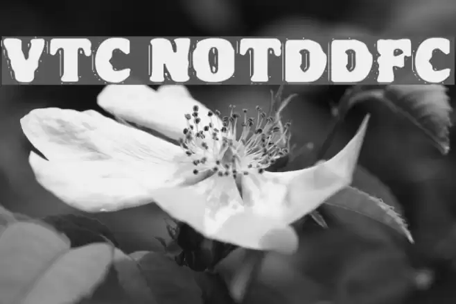 VTC NightOfTheDrippyDeadFatCaps خط examples