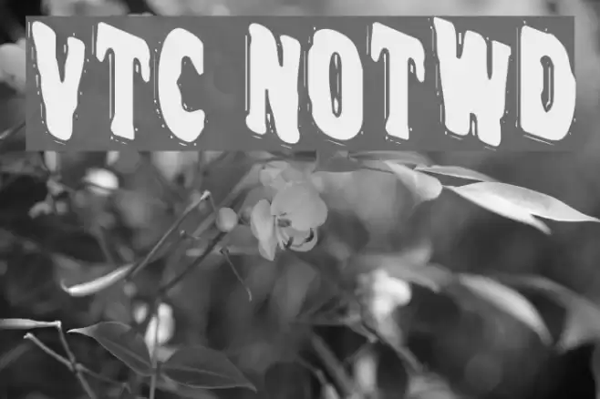 VTC NightOfTheWackedDead Polices examples