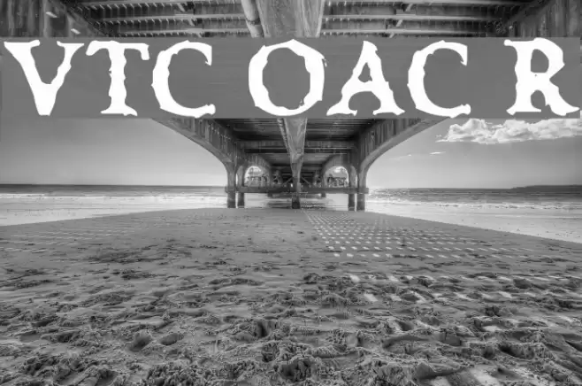 VTC OldAsCrap Regular フォント examples