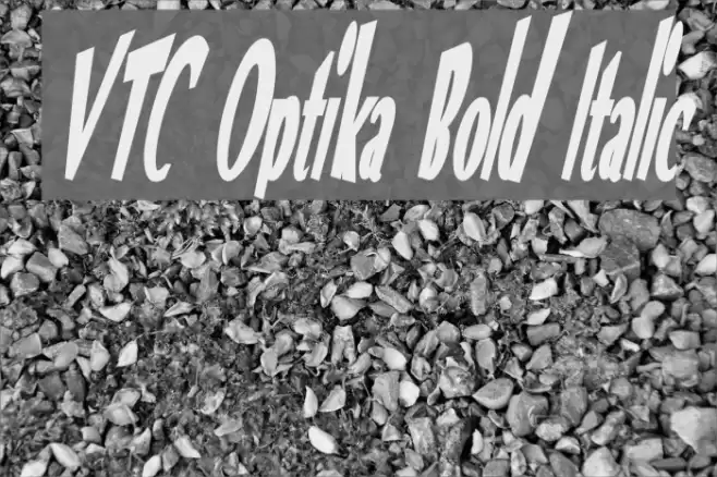 VTC Optika Bold Italic Font examples