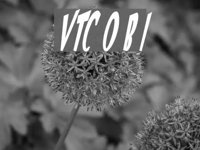 VTC Optika Bold Italic Font examples