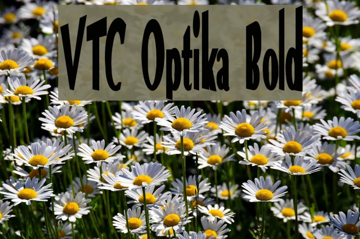 VTC Optika Bold Font examples