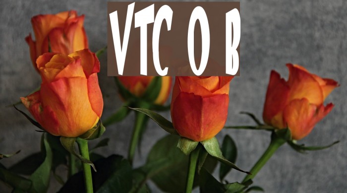 VTC Optika Bold Font examples